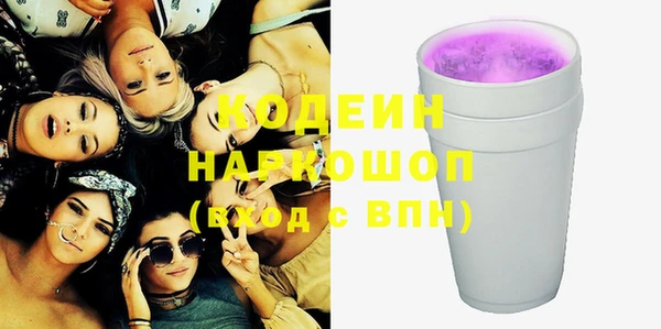 молекула духа Арсеньев