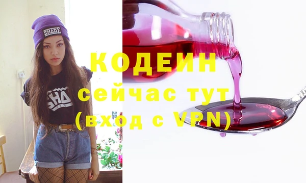 молекула духа Арсеньев