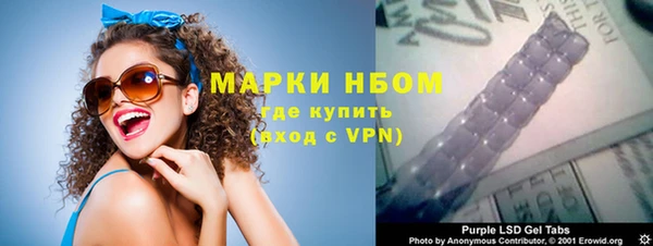 молекула духа Арсеньев