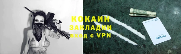 молекула духа Арсеньев