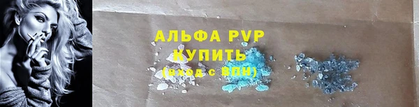 шишки Армянск