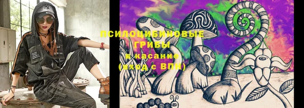молекула духа Арсеньев