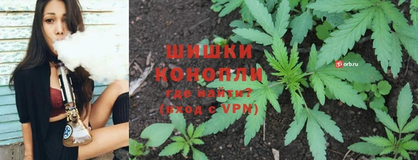 шишки Армянск