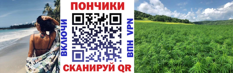 где продают наркотики  Сельцо  Каннабис OG Kush 